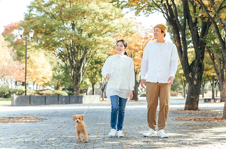 公園で犬の散歩をしている男女